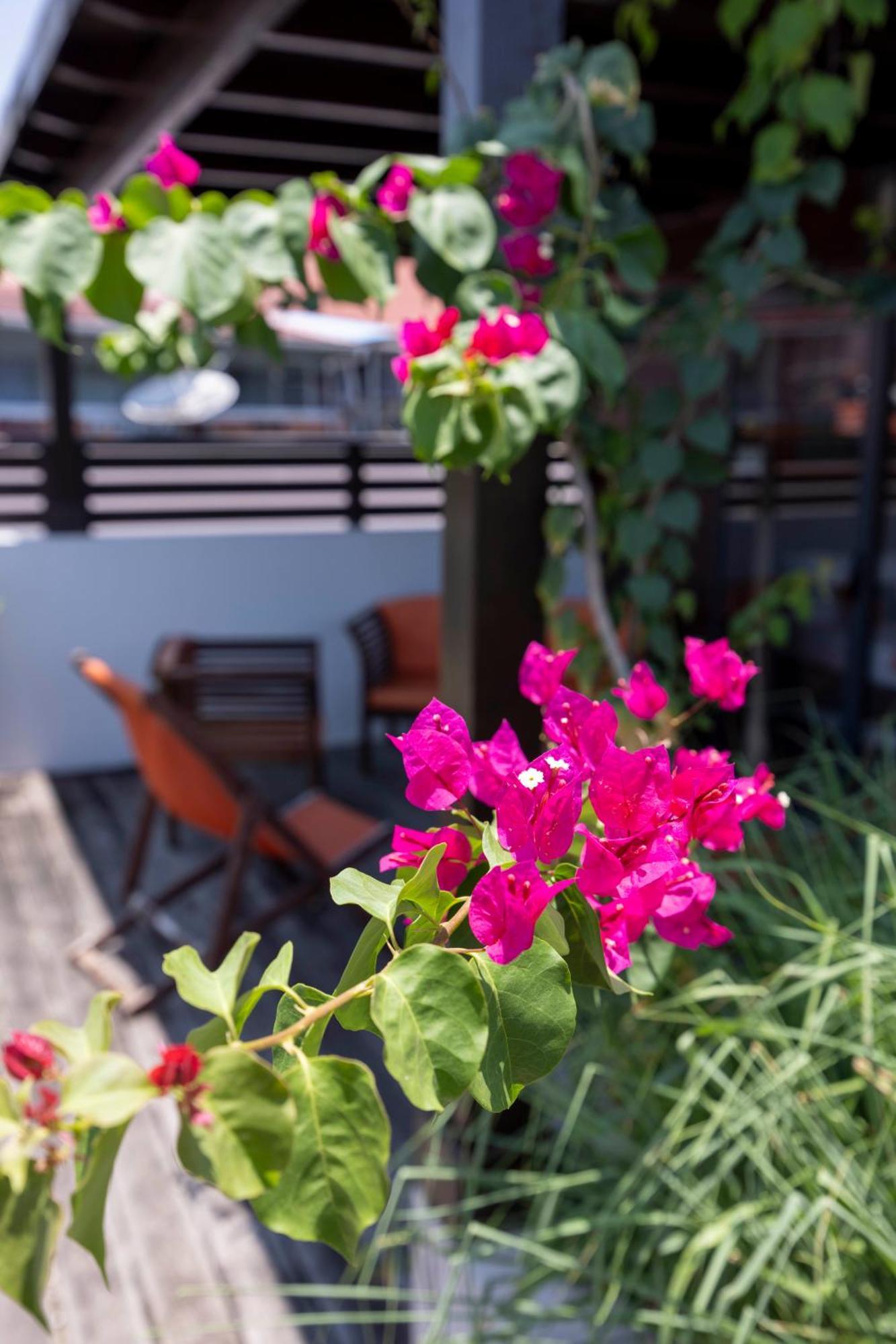Hotel Ker Alberte Кайен Екстериор снимка